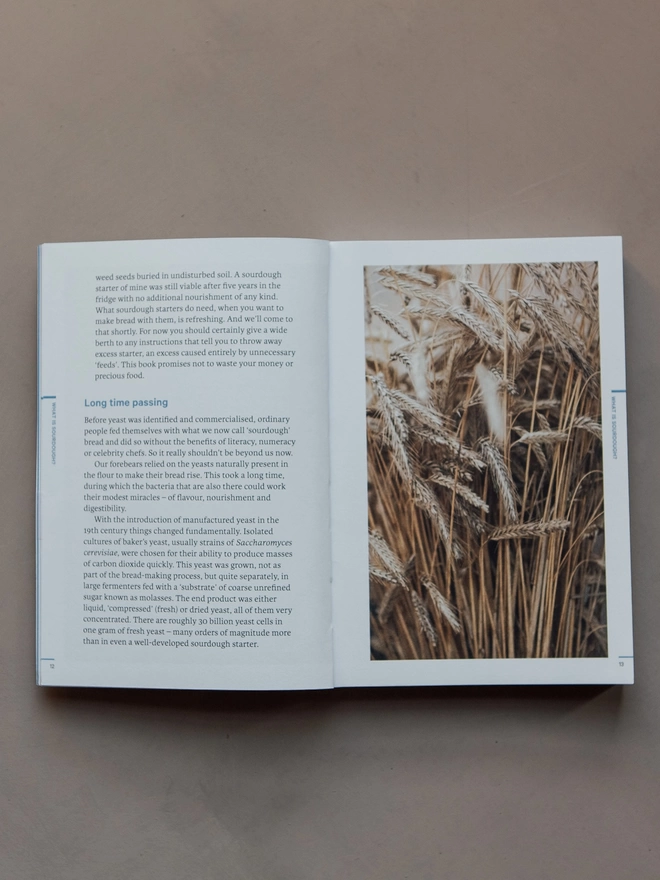 How to make sourdough book