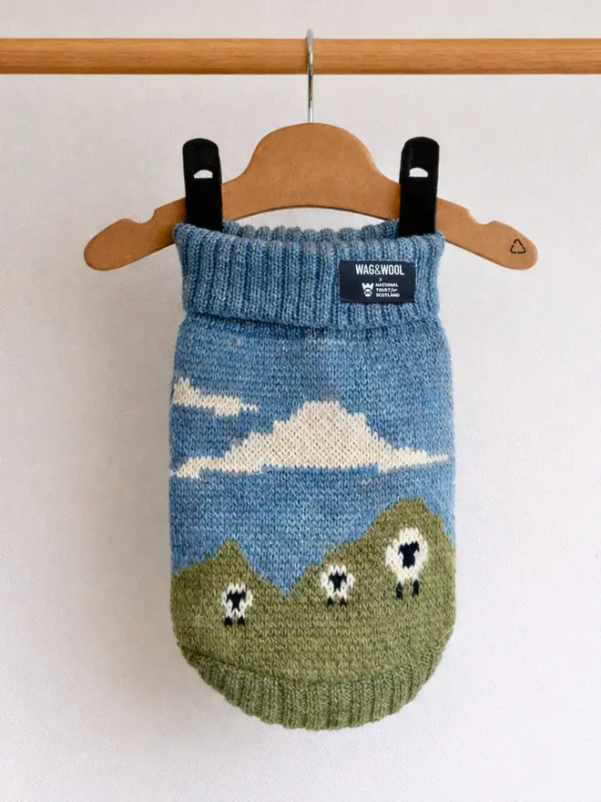 dog jumper product shot 