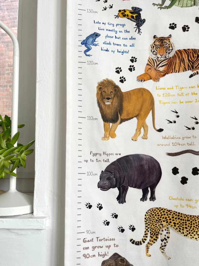 Close up of the fabric height chart featuring an African Lion, a Pygmy Hippo, some frogs and a Sumatran Tiger, next to a window with a plant on it