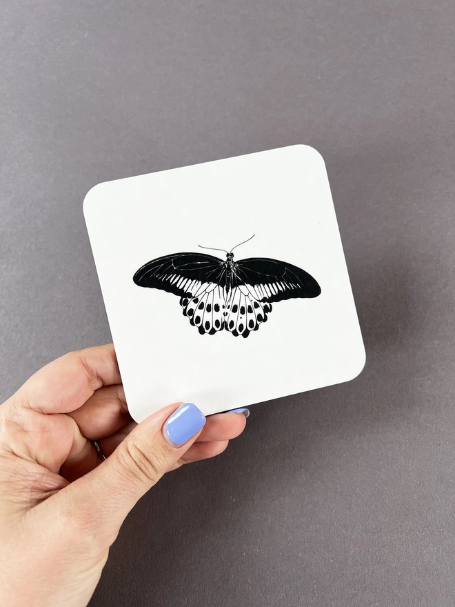 Morman butterfly coaster