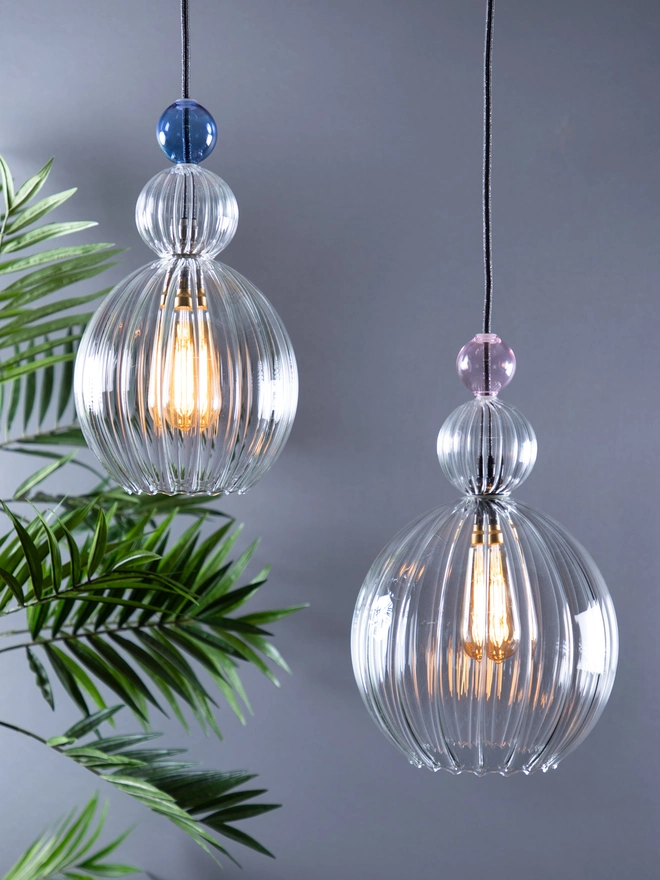 small and medium hand blown clear ribbed glass Signature Wanda pendant lights with baubles on them, with a plant in the background. the small has a large clear ribbed bauble and a small pale blue bauble on it. The medium has a large clear ribbed bauble and a small pink bauble on it. 