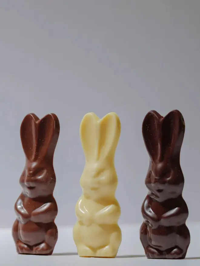 Three Easter Bunnies made of milk, white and dark Chocolate lined up in a row on a light background. 
