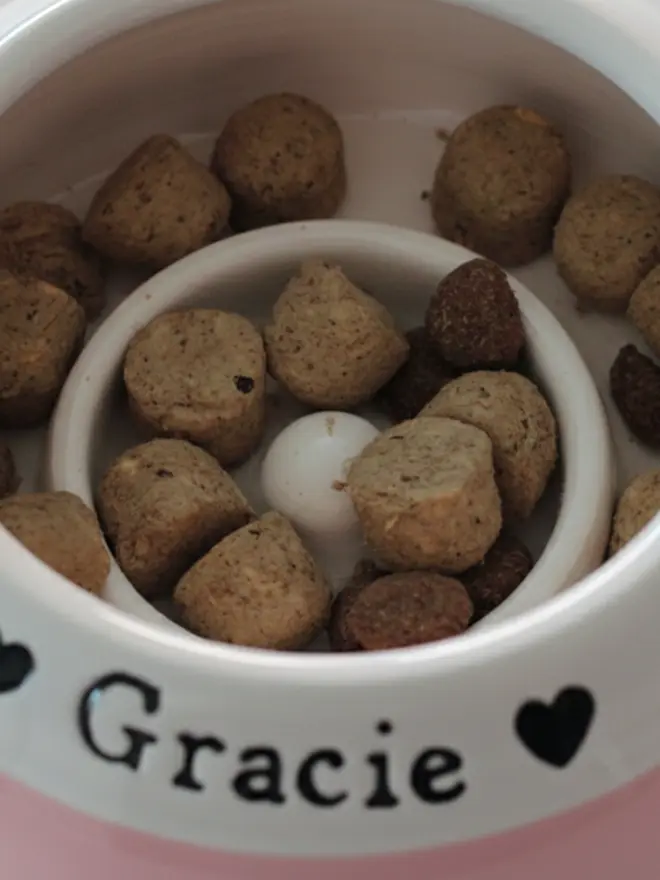 mini dachshund bowl slow feeder