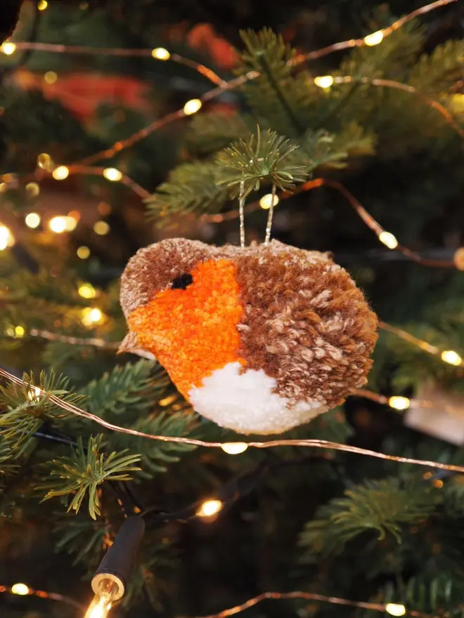 Robin Pom Pom