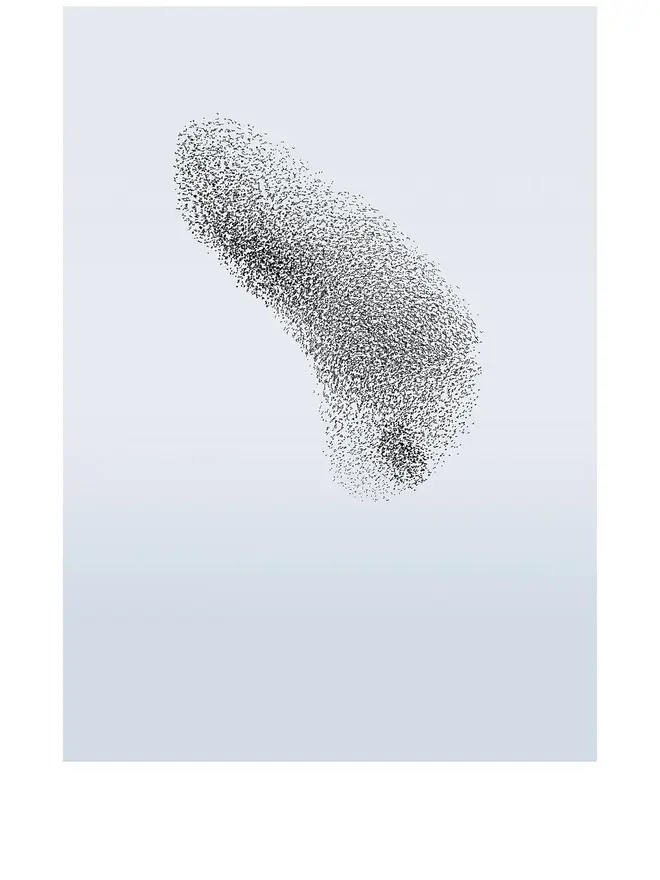 Murmuration 8 Giclée Print 