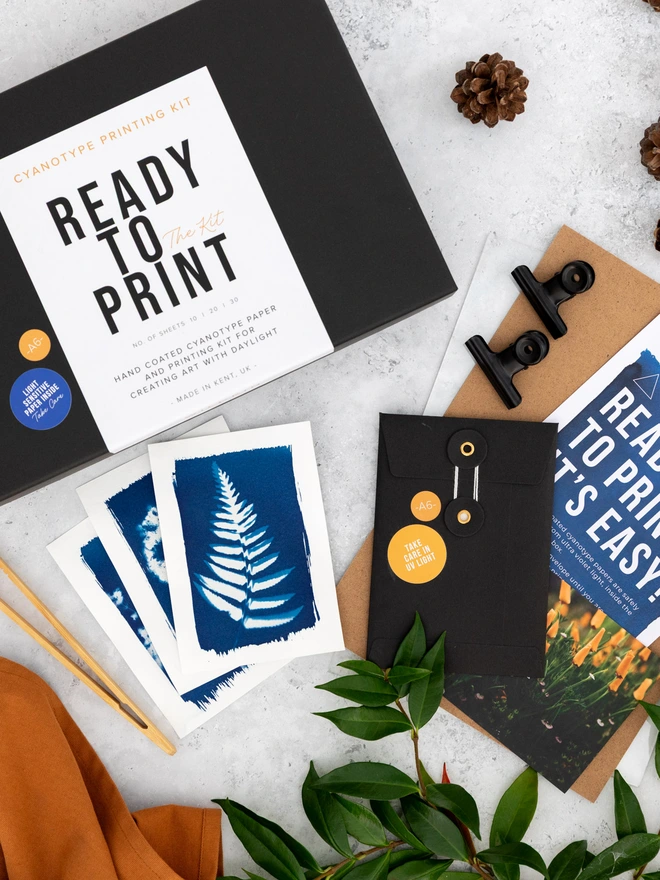 overhead image of the cyanotype printing box and the contents, showing some final prints.