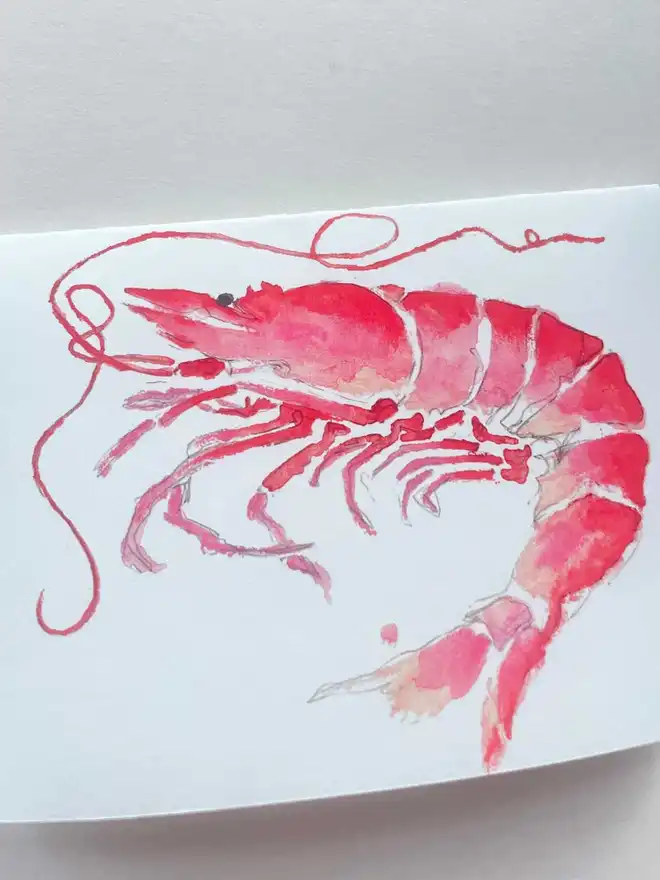 Prawn birthday card