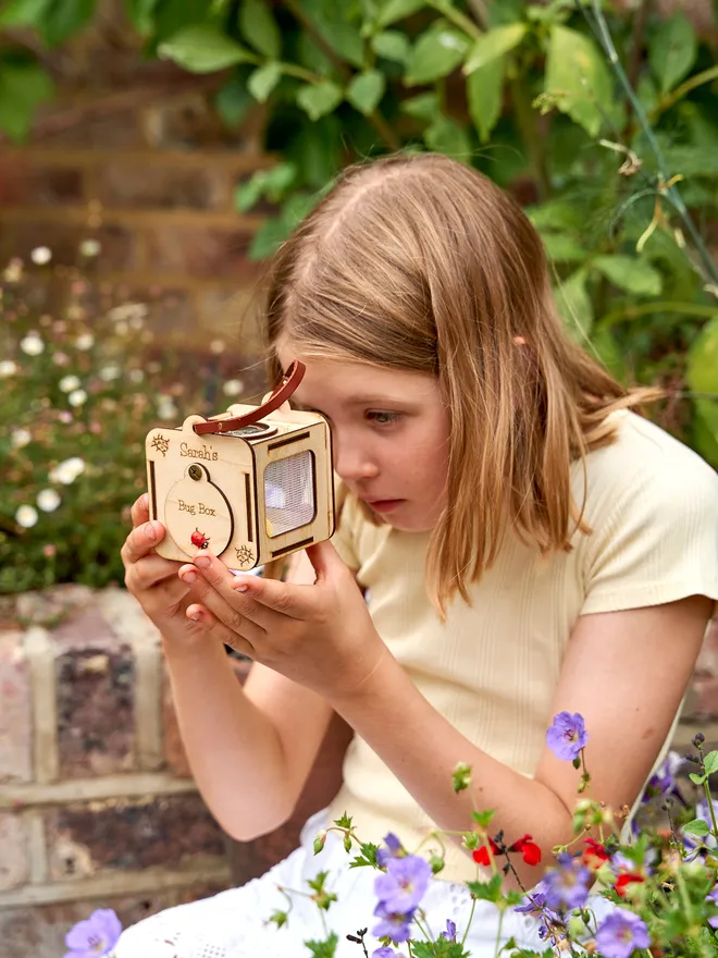 Personalised birch plywood observation box with a viewing panel at the top