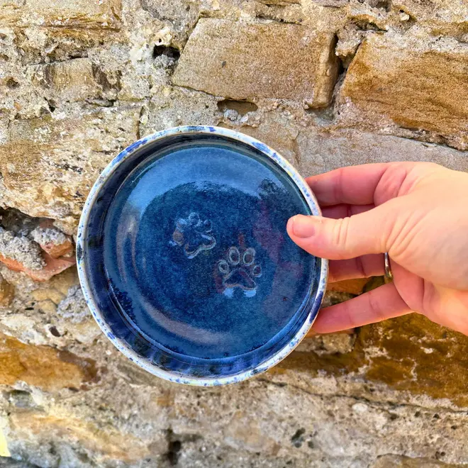 Shoreline Cat Bowl, a colourful cat bowl held against a brick backdrop. 