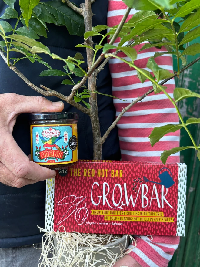 A Szechuan peppercorn plant, a red hot chilli Growbar and a jar of Poon's Chilli oil being held in the garden. 