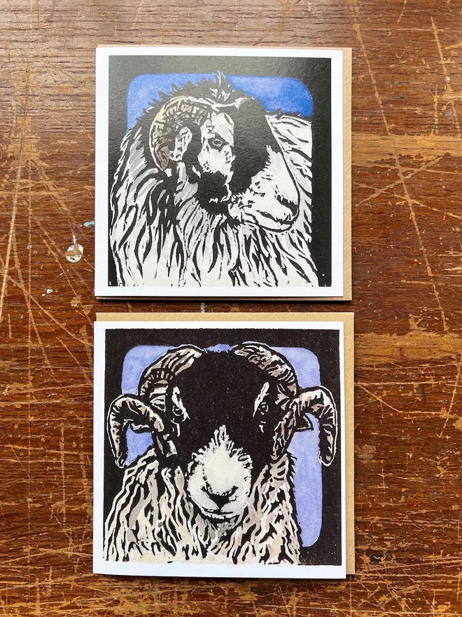 two swaledale sheep cards