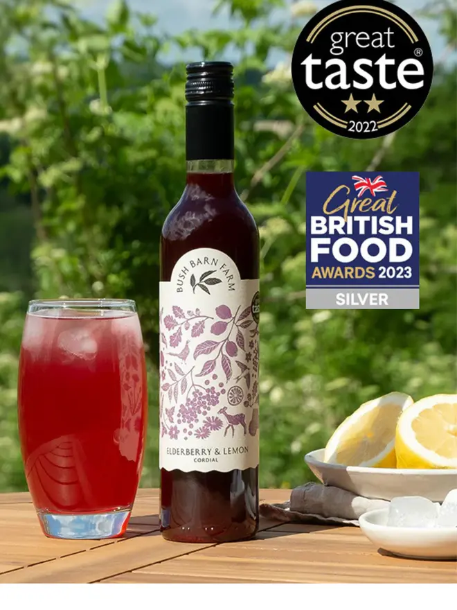 Elderberry & Lemon Cordial (Set Of 1, 2, 3 Or 4), a glass of cordial next to a bottle of it on a wooden surface outside.