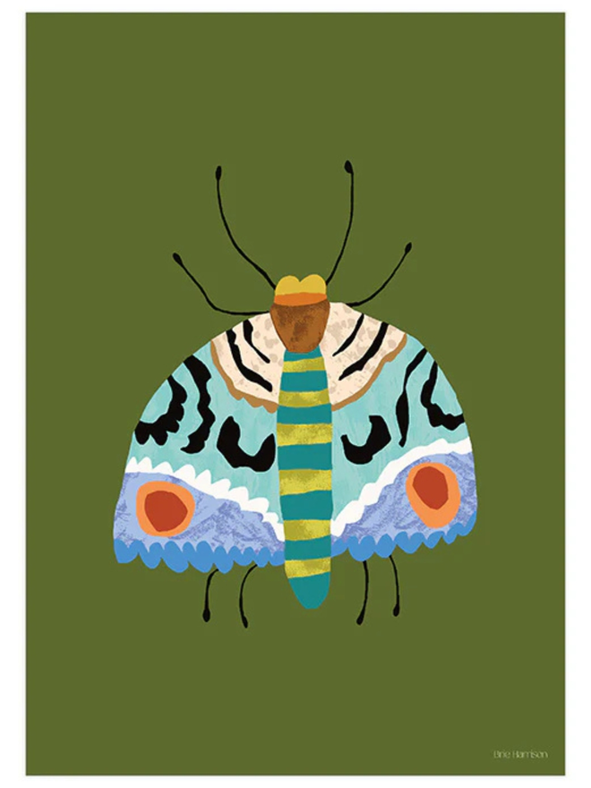 moths print