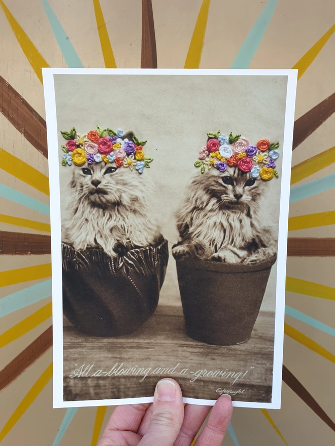  B&W photo print  of 2 kittens in flower pot with coloured embroidered flower crown