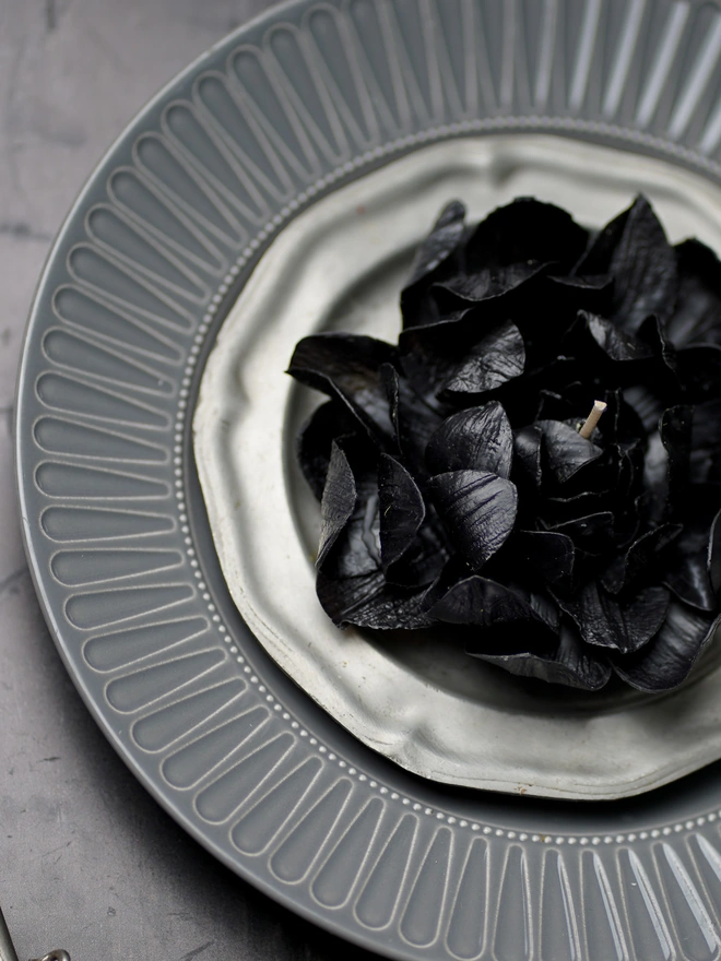 The Corvus Bloom - Collector's Edition
