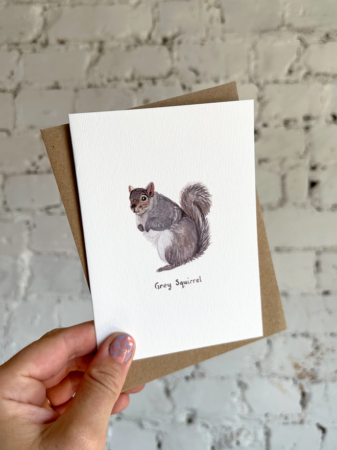 A greetings card featuring an illustrated grey squirrel with a brown kraft envelope
