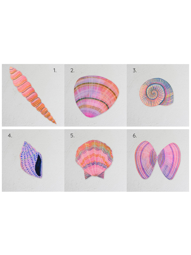 wooden shell wall art decoration. six different designs of illustrated shells in pink and purple colours.