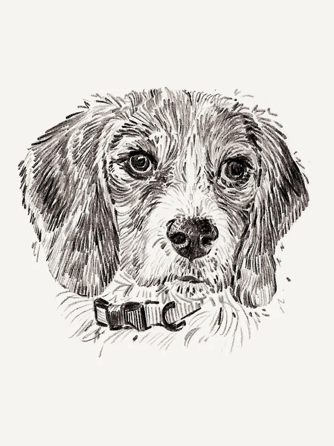 A6 Personalised Pet Portrait 