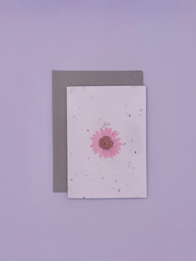 Real Pressed Flower Plantable Notecard, Pink Daisy