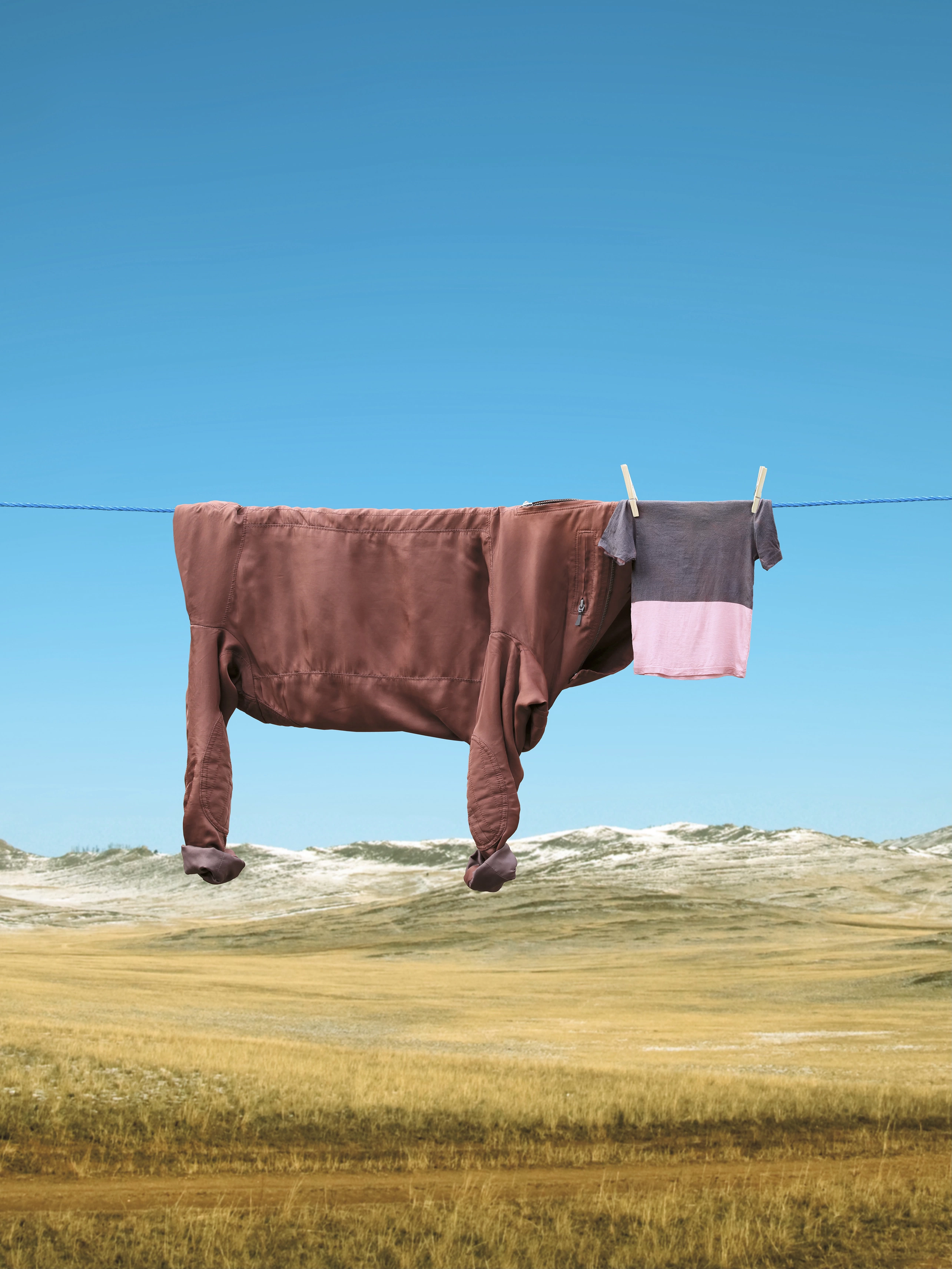 Original print of Smooothie the chocolate cow hung on clothes line in the mountains