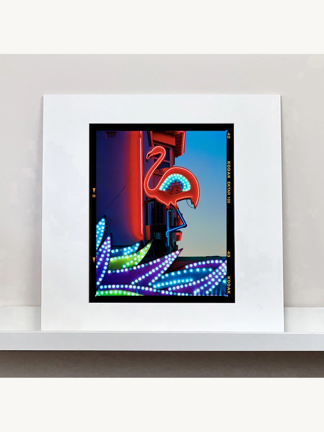 Neon Flamingo Richard Heeps colour print mounted square