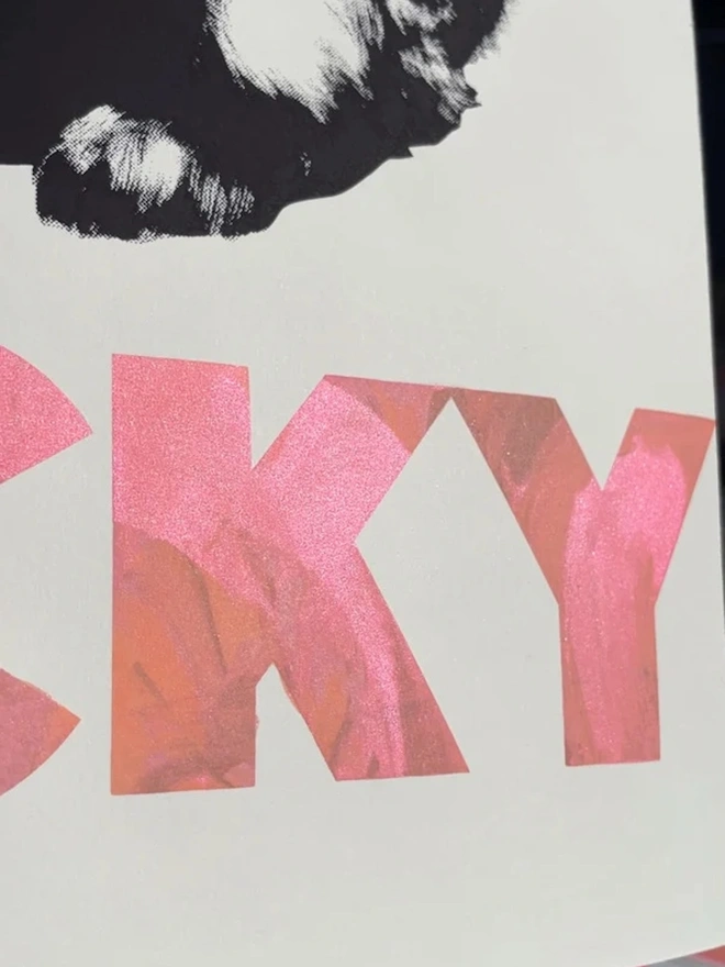'Lucky' Bunnies Screen Print