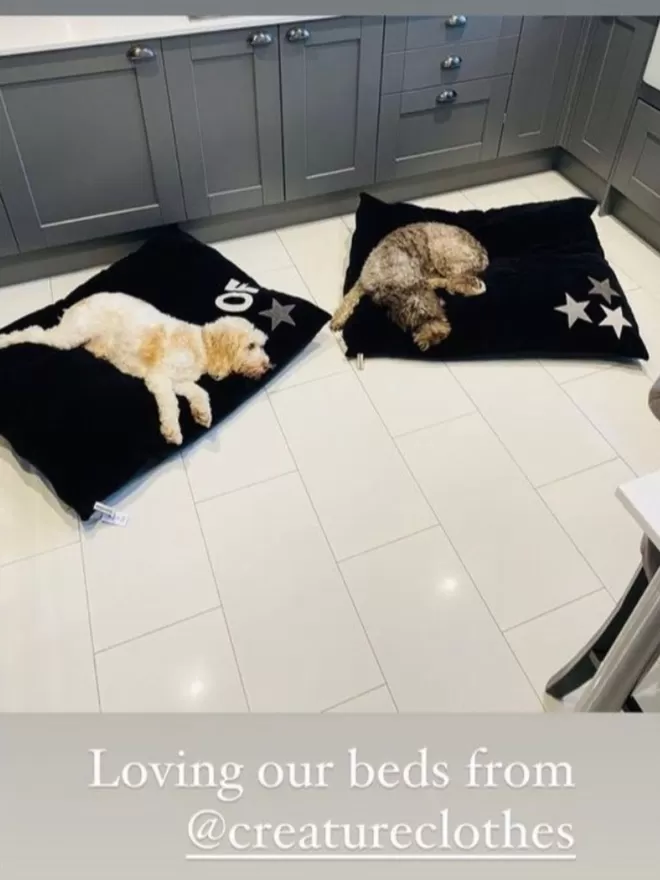 Instagram photo of our Charcoal Velvet Dog Beds