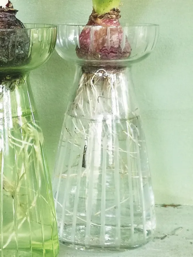 	 Hyacinth_cut_glass_vase