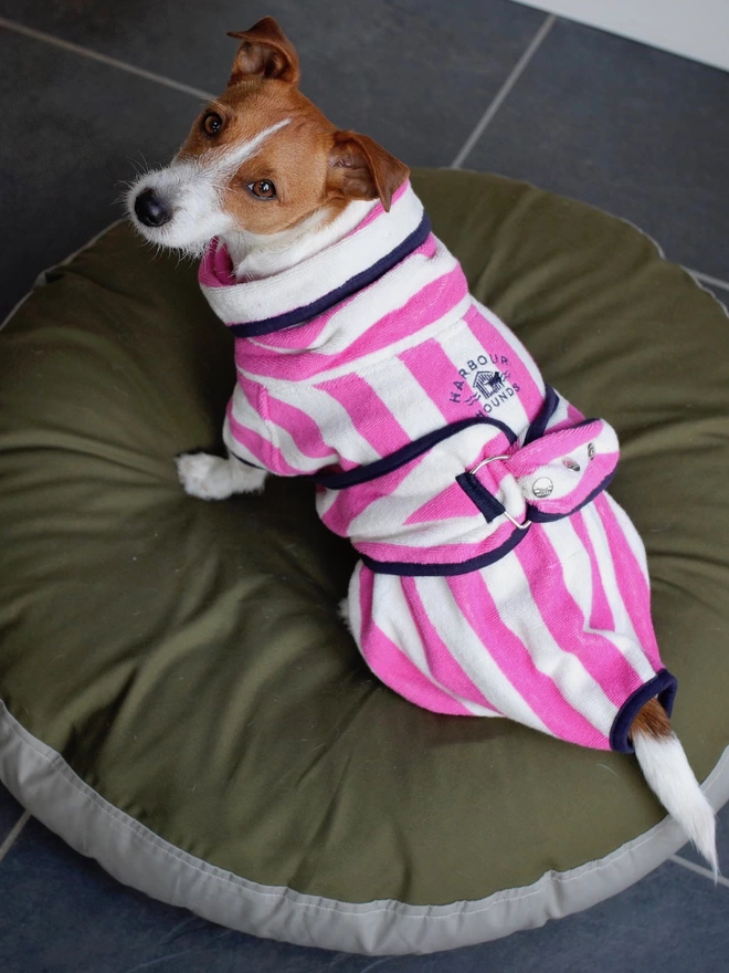 Nautically styled pink dog drying robe. 100% absorbent cotton. Popper fastening, tail hole and full belly coverage.  