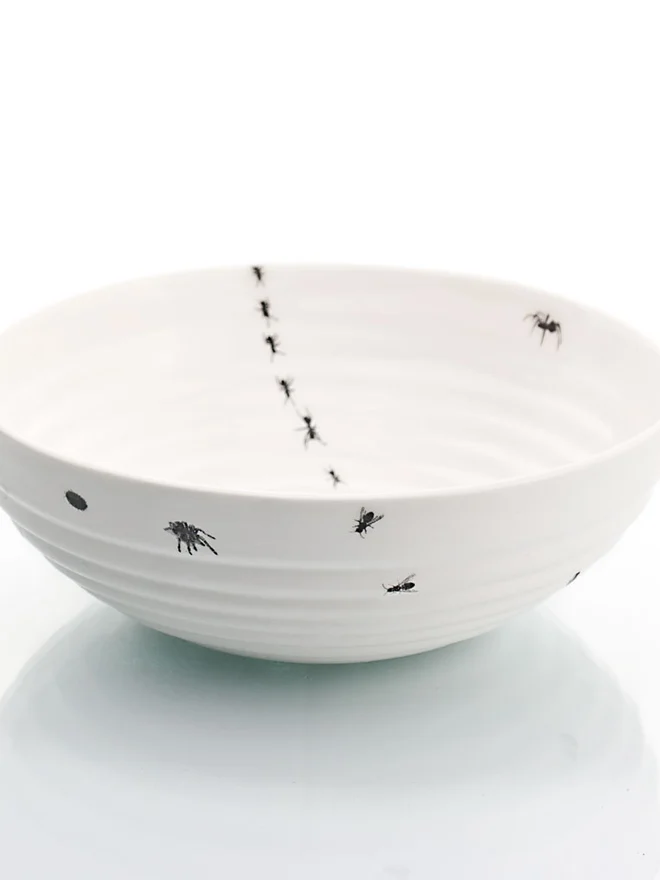 porcelain bowl with insects