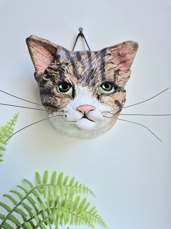 Tabby and white cat with green eyes