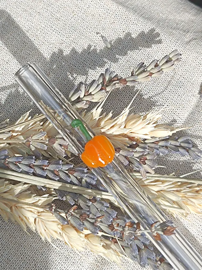pumpkin straw close up