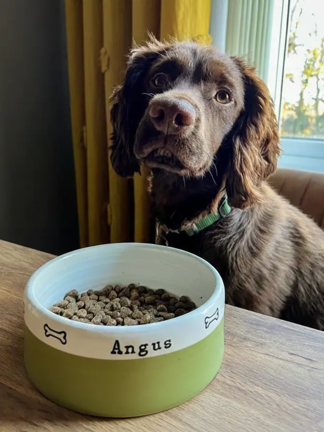 medium handmade dog bowl mossy haven