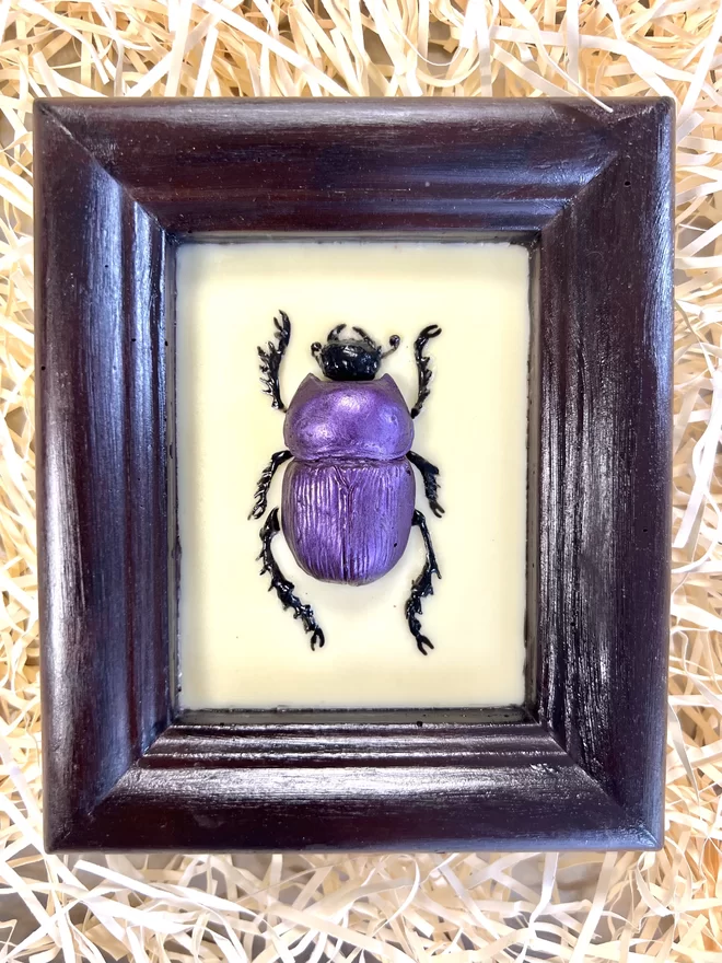 Realistic edible dark chocolate dung beetle in chocolate frame