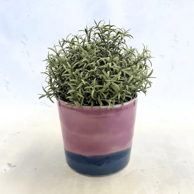 Landscape Medium Pot, a colourful pot on a stone surface. It is accompanied by a pot. 