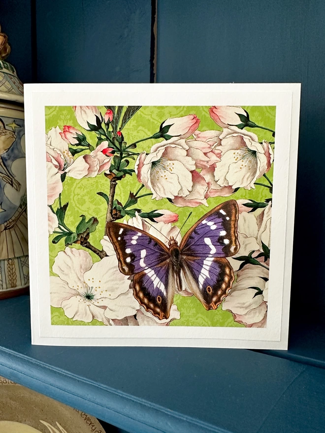 Blossom and purple emperor btterflygram displayed in home