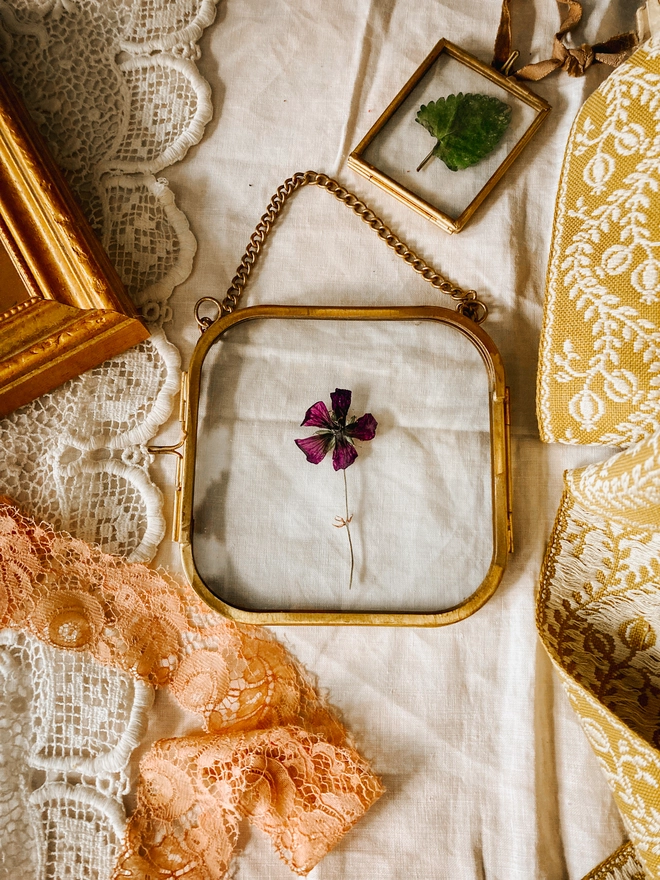 Pressed Clematis Framed Keepsake