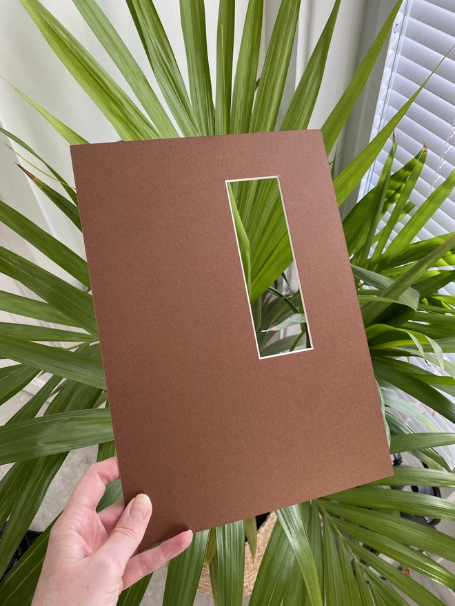 LNN's brown photo strip / photo booth mount