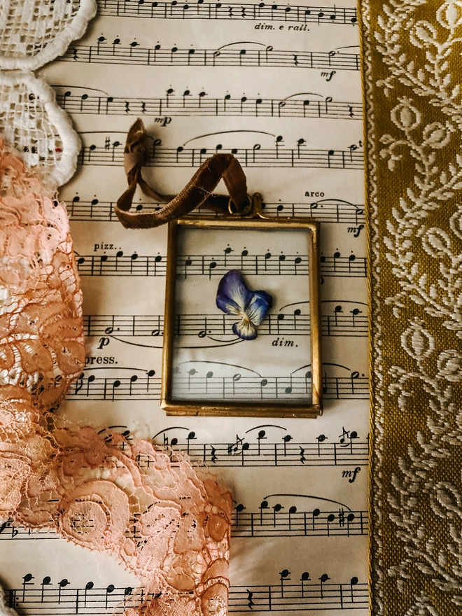 Viola Framed Keepsake