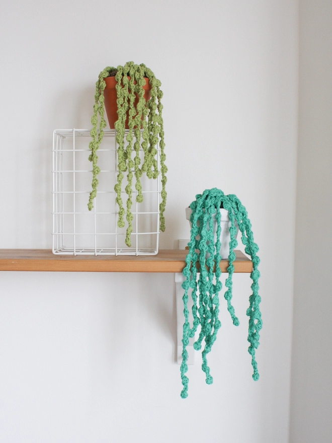 Two crocheted string of pearls plants