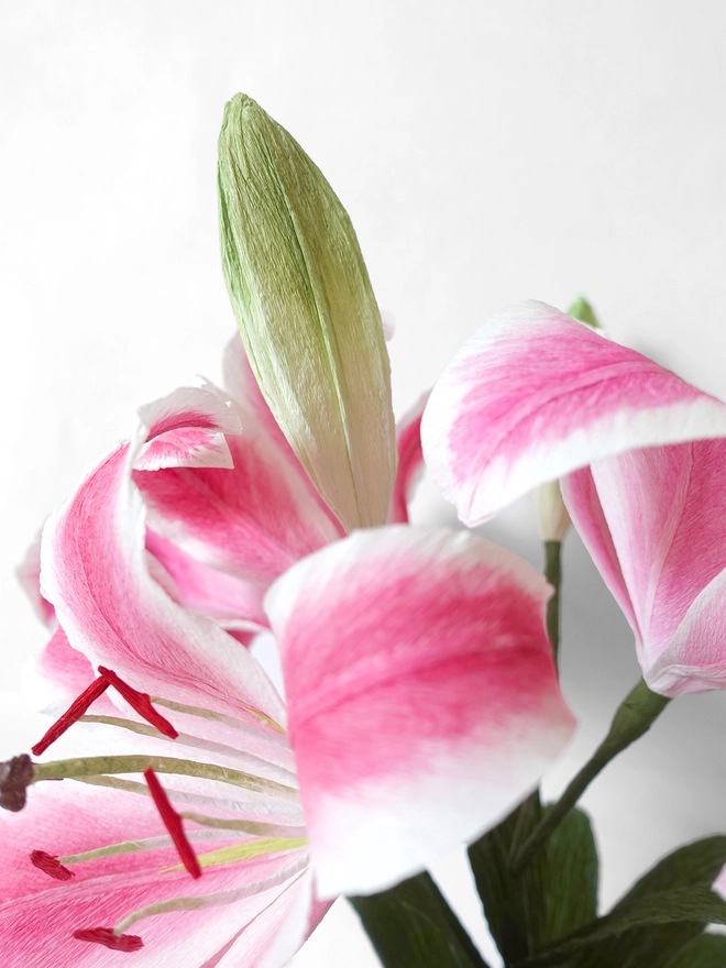 Crepe Paper Easter Lily DIY Kit