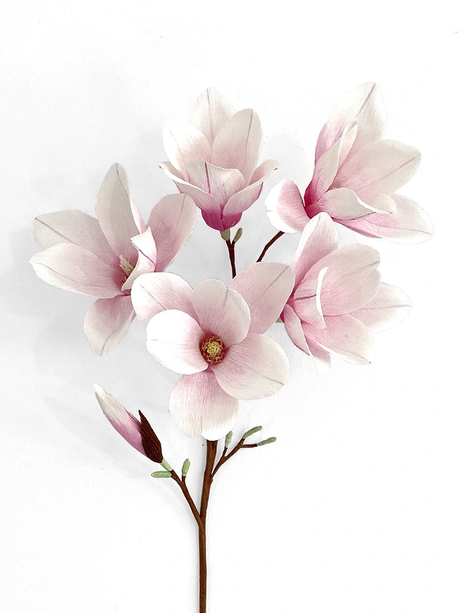 Crepe Paper Magnolia DIY Kit