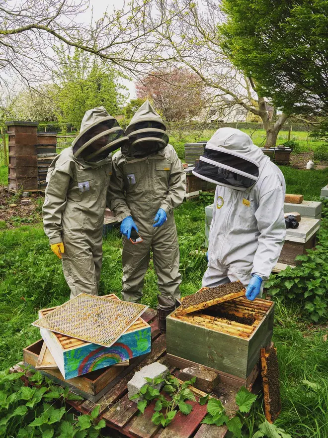 unrivalled runny british honey