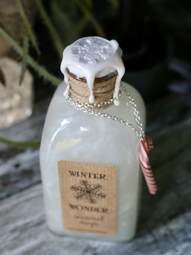 Winter wonderland potion