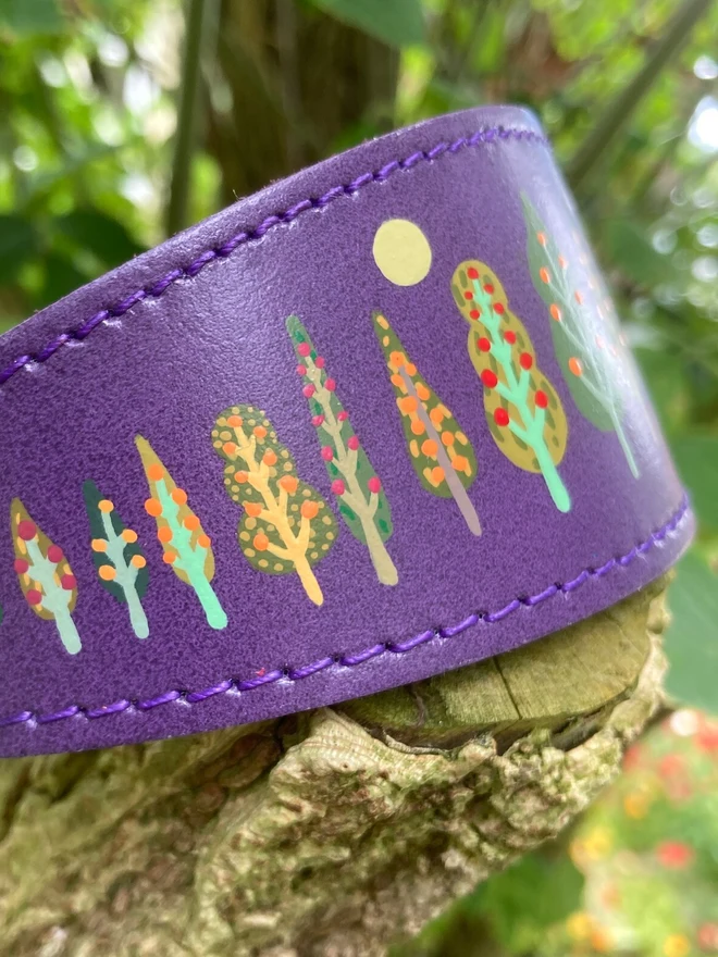 purple painted leather dog collar