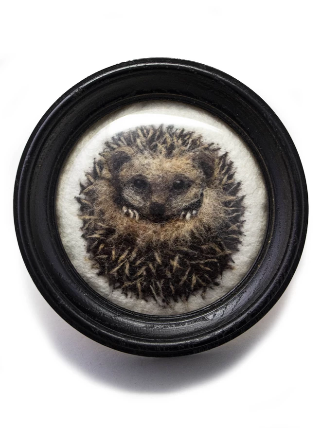 A needle-felted portrait of a curled hedgehog in a round black frame