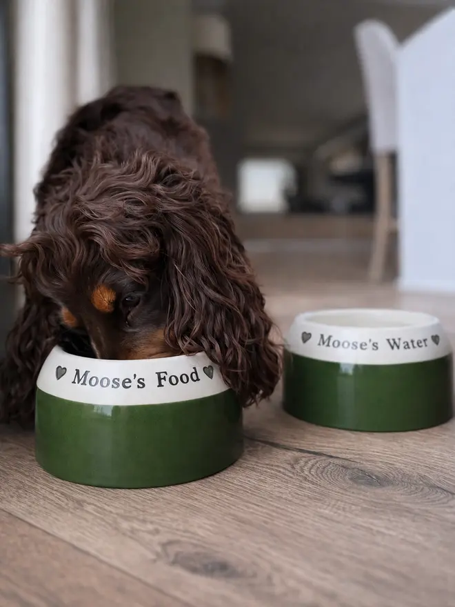 A brown cocker spaniel eats from a handmade bowl that is shaped to keep its ears out of its food and water.