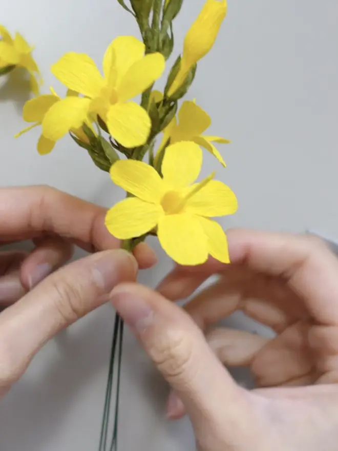Crepe Paper Winter Jasmine DIY Kit