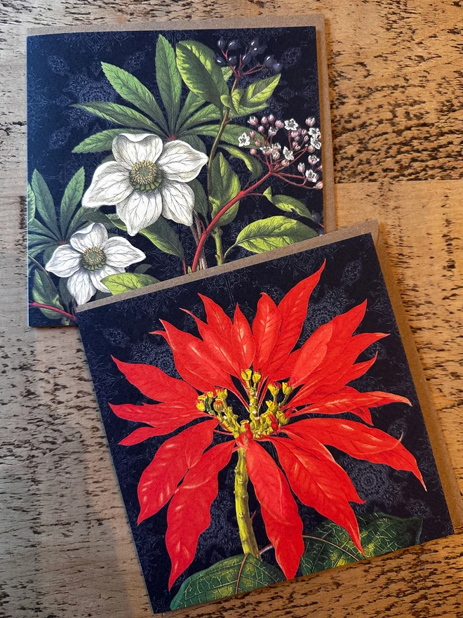Botanical Christmas cards showing the Christmas Rose and Poinsettia. The floral designs are set against a black background which gives a traditional look and makes the design stand out. The cards are supplied with a recycled, brown kraft envelope.