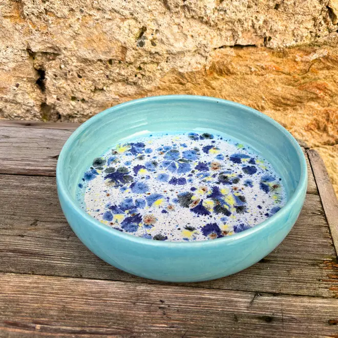 Shoreline Pasta Bowl, a colourful bowl placed on a wooden surface against a brick backdrop. 